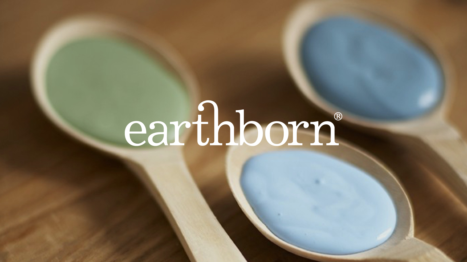 Eco Paint Company Brand Identity